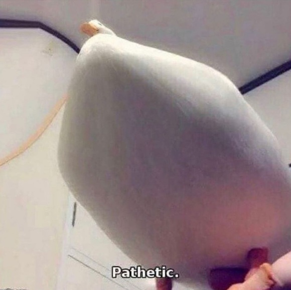 lettuce69